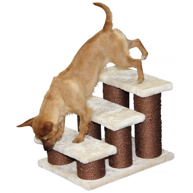 Dog & Cat Steps Easy Climb