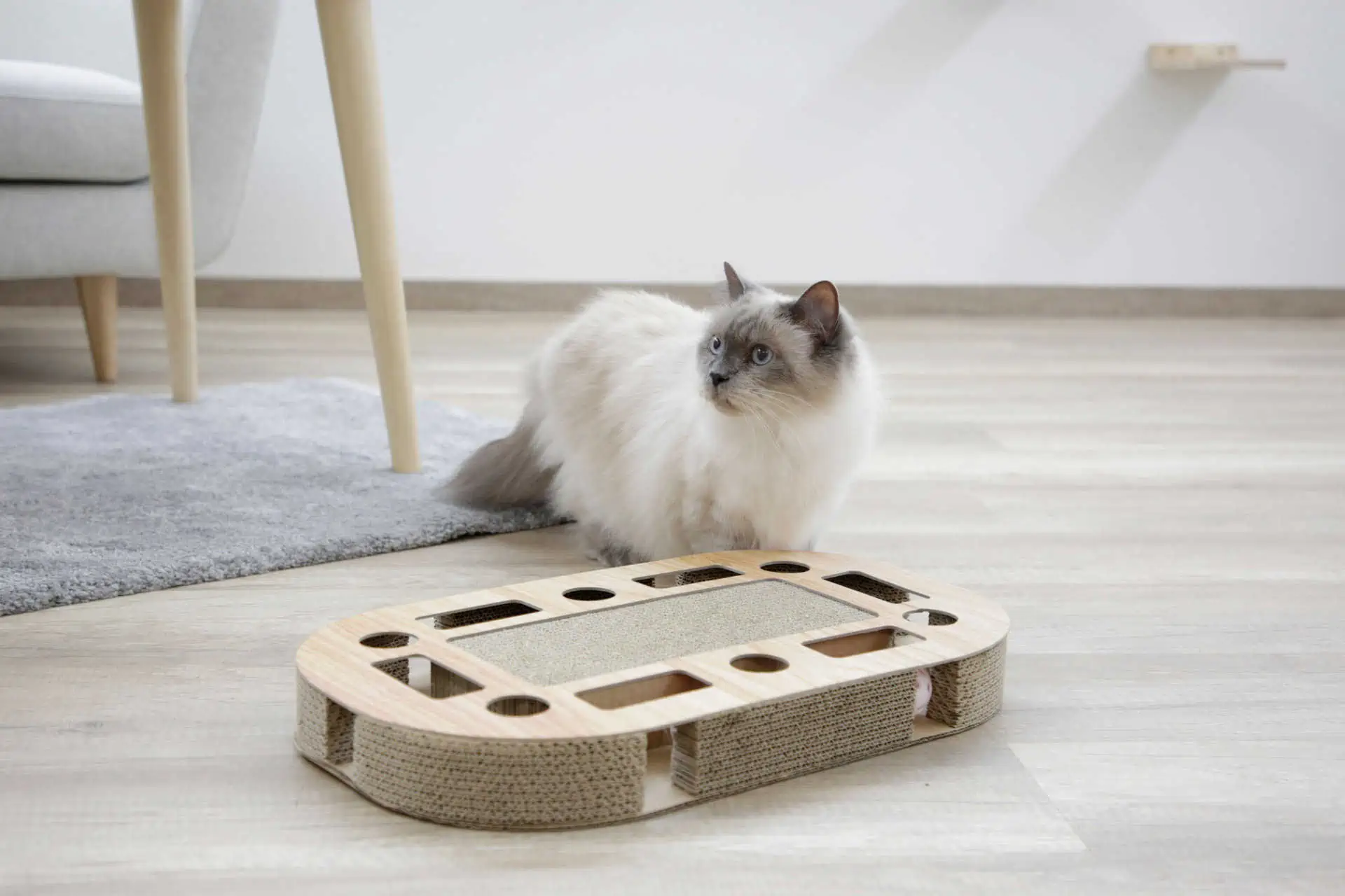 Cat Scratching Board Ovalo, 52 x 31 x 8.5 cm, with Catnip