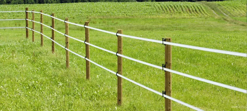 Electric Fence Posts Horse