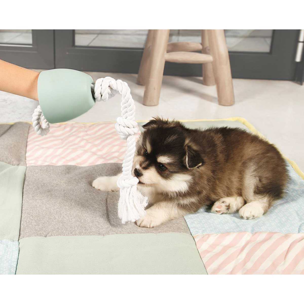 Beeztees Puppy Cotton T-Puller