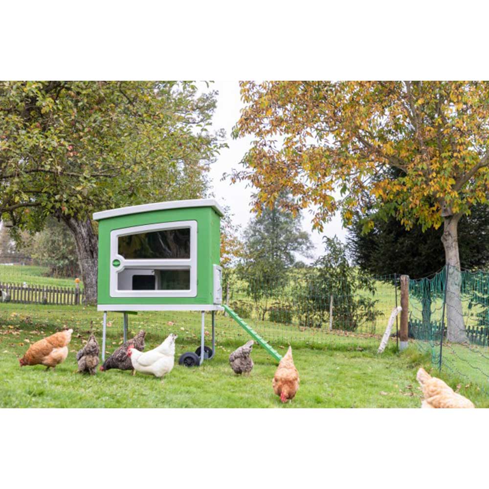Chicken House MOBILE COOP plastic