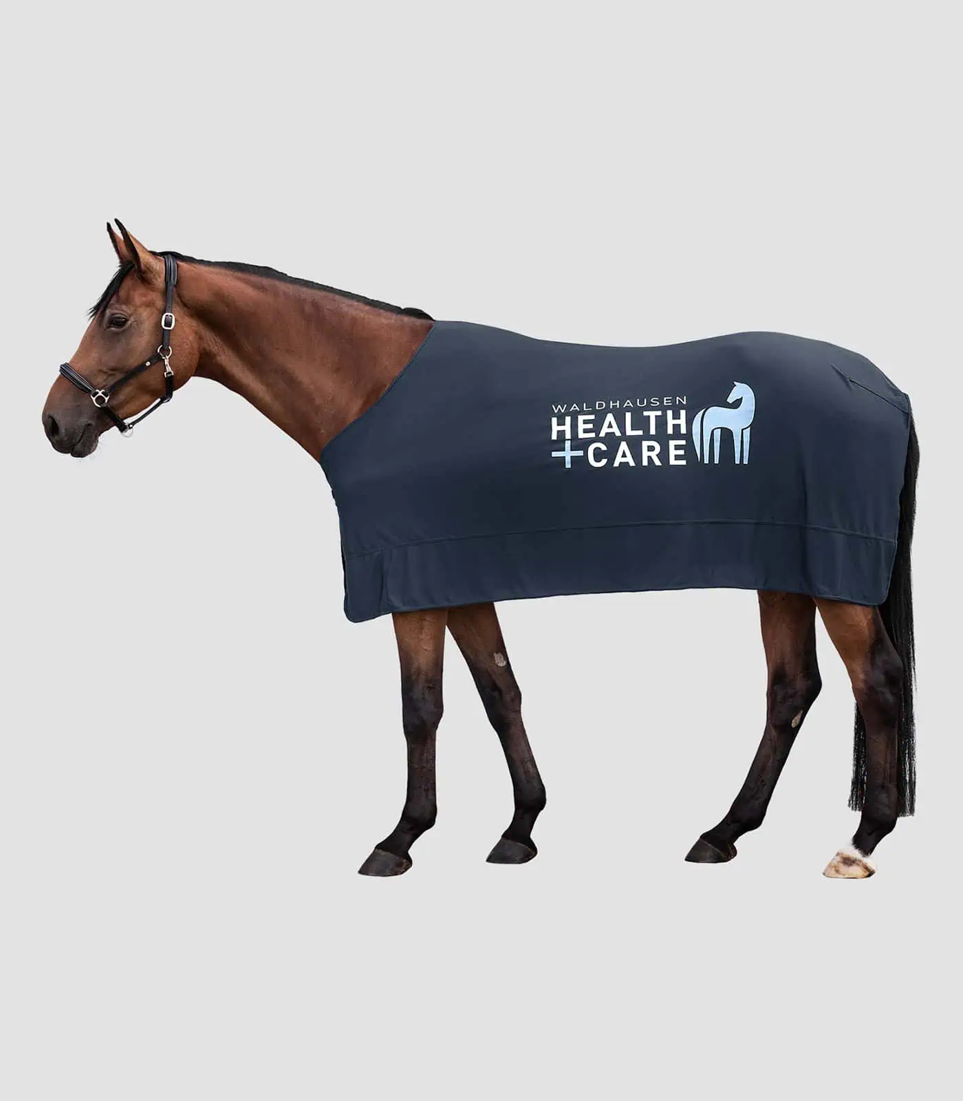 W-Health & Care Ice layer rug night blue 115