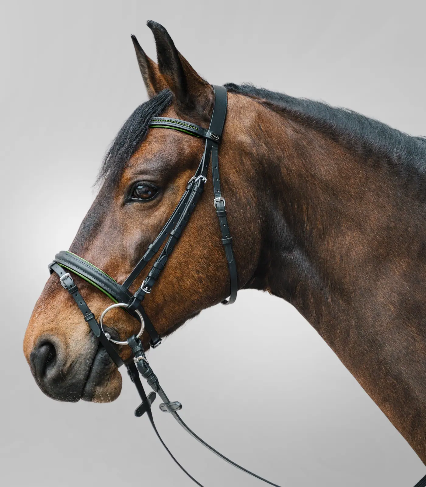BUSSE Trense FEELING – Anatomisches Reithalfter Aus Leder Mit Strass, LPO-konform