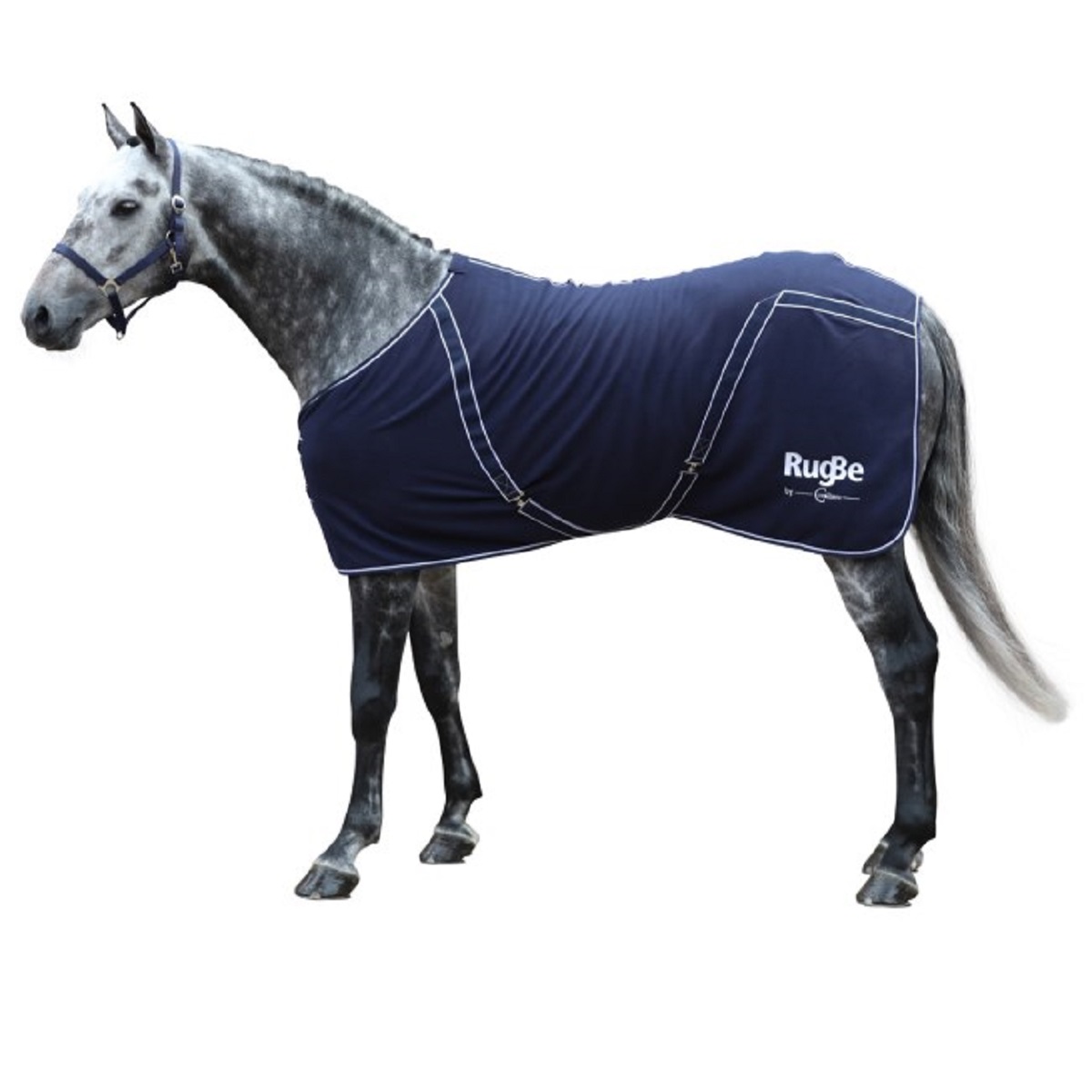 Cooler Rug RugBe Classic navy 155