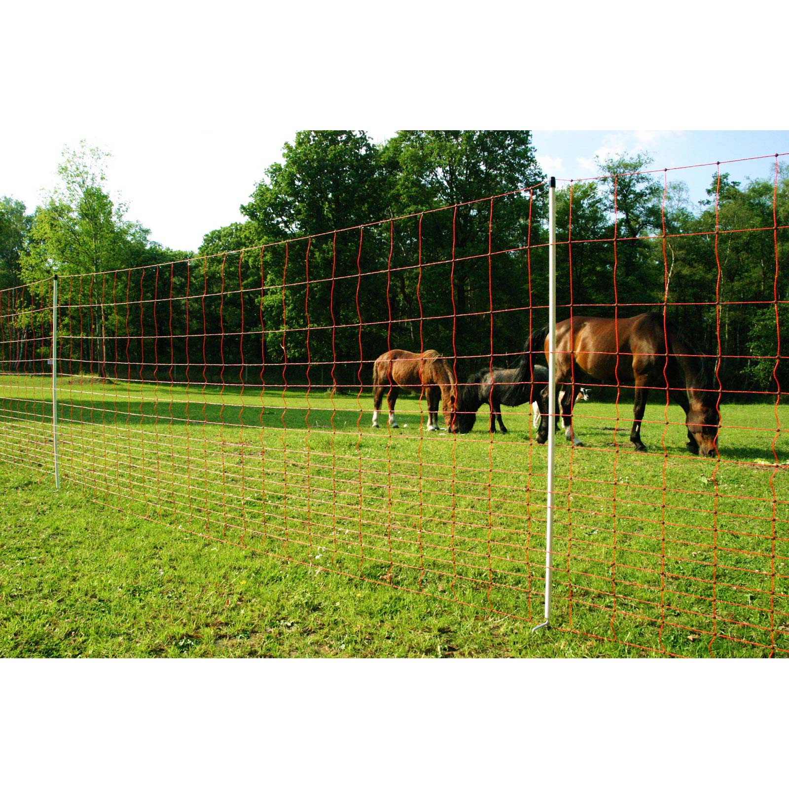 Euro-Mustang-Net Pasture Net electrificable, double tip, orange, 50 m x 145 cm