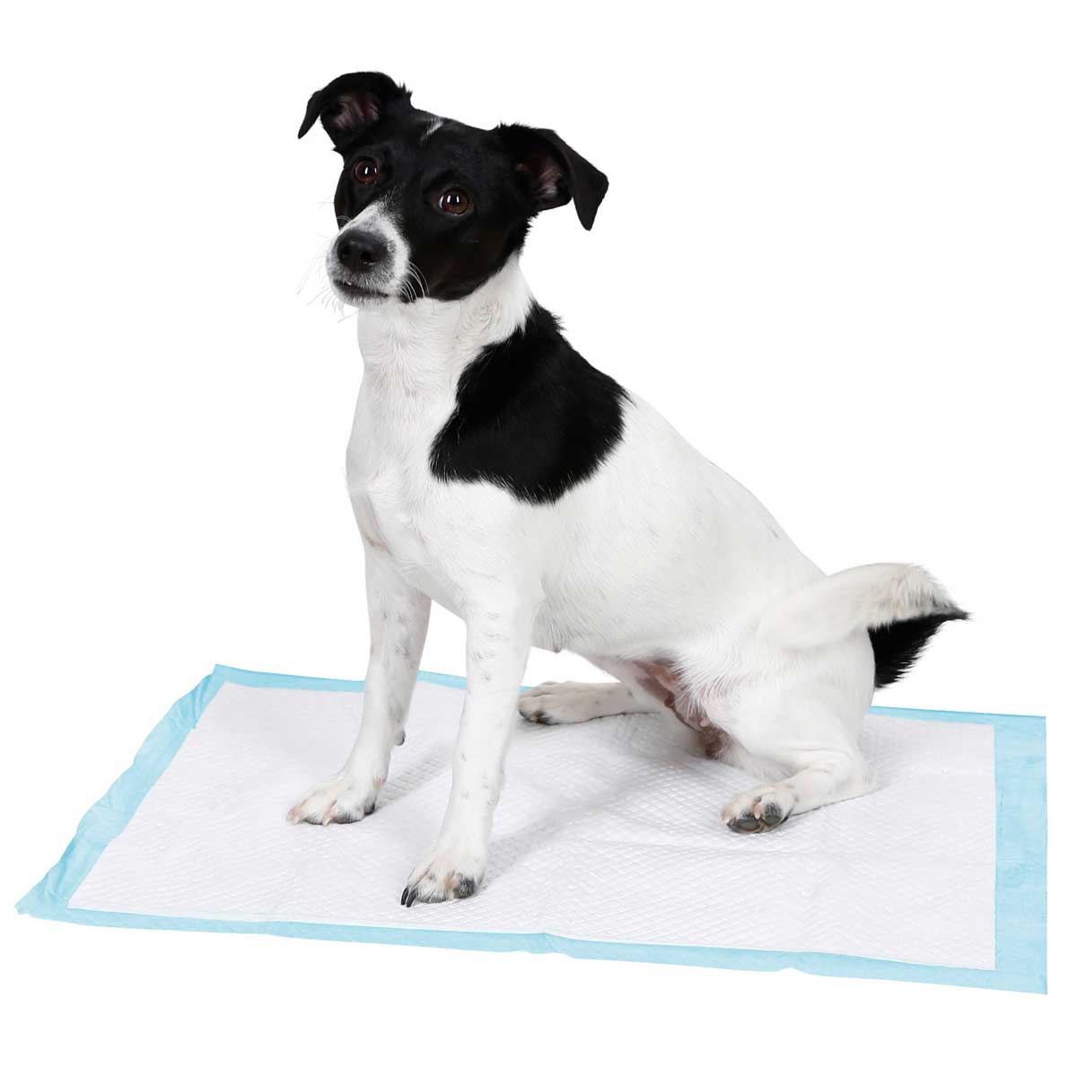 Training pad 60x45cm for puppy toilet