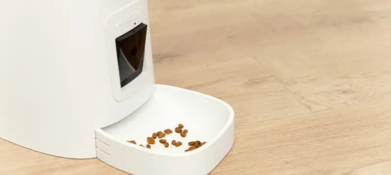 Automatic Dog Feeder