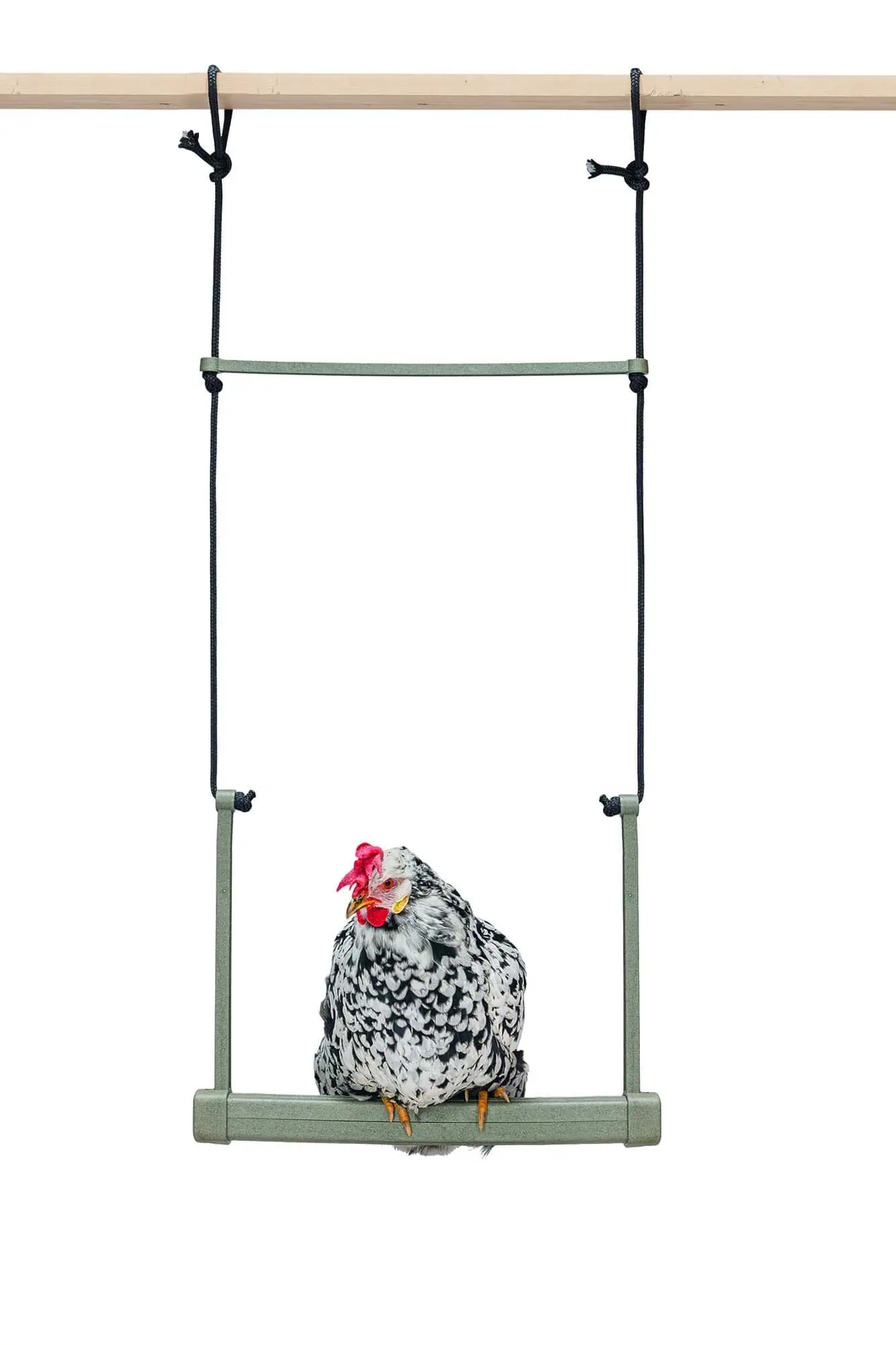 Beeztees Chicken Swing