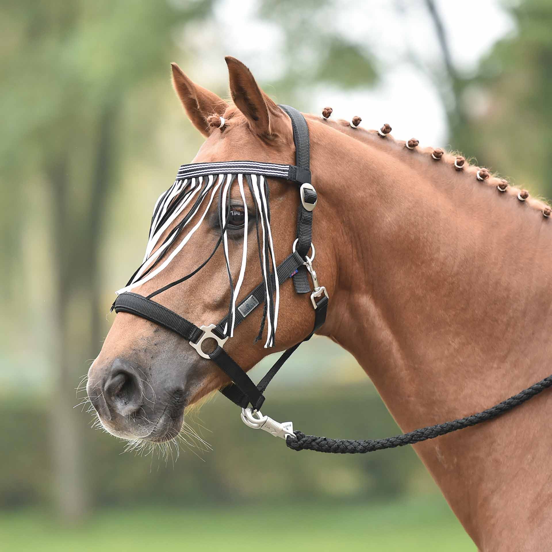 BUSSE Flystring Browband VISBY Pony black/white