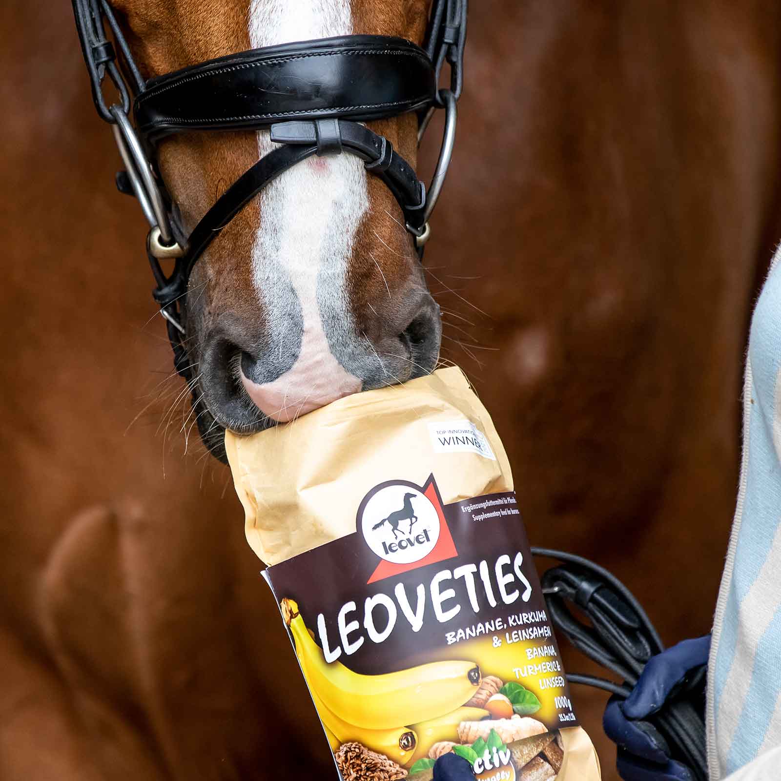 Leovet Leoveties Horse Treats Banana, Turmeric & Flaxseed 1 kg