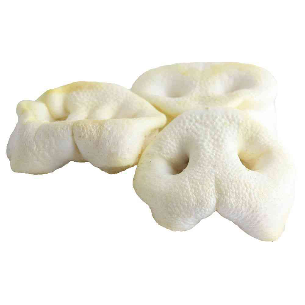 Dog Snack Pig Nose white 5 Pcs.