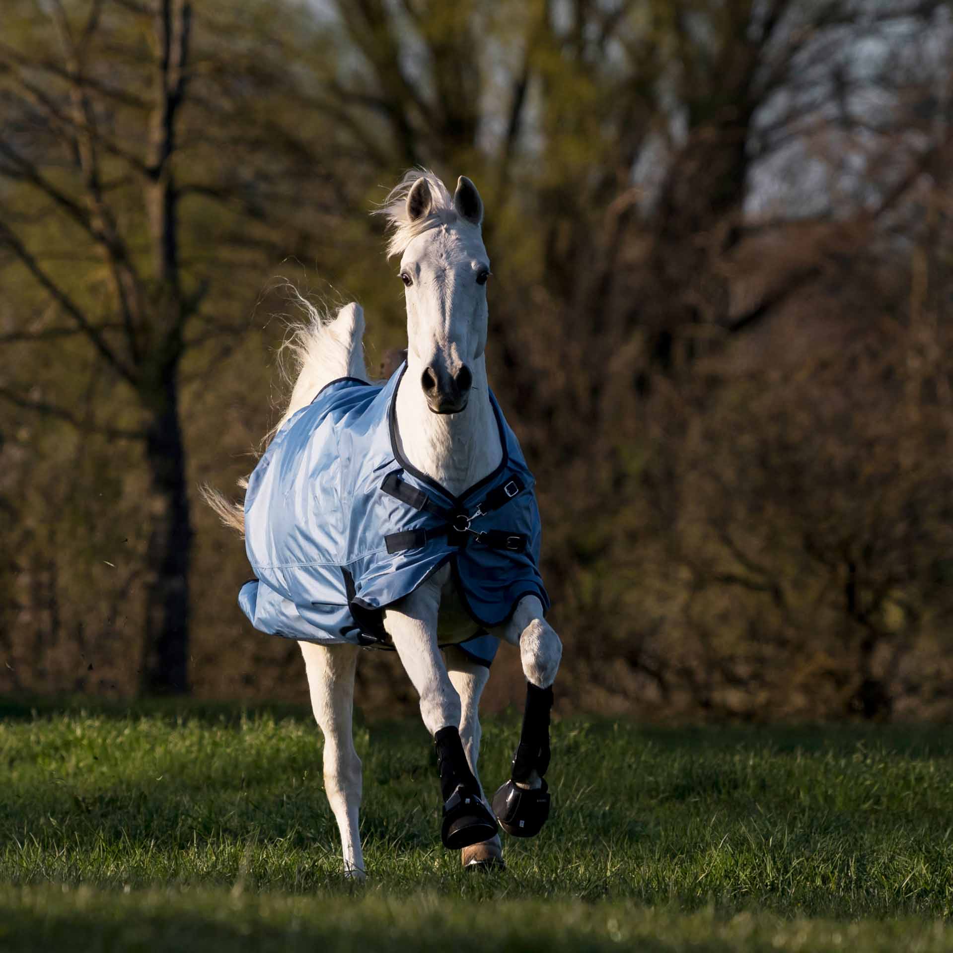 BUSSE Turnout Rug WINDCHILL 00 135 plus ice blue/navy