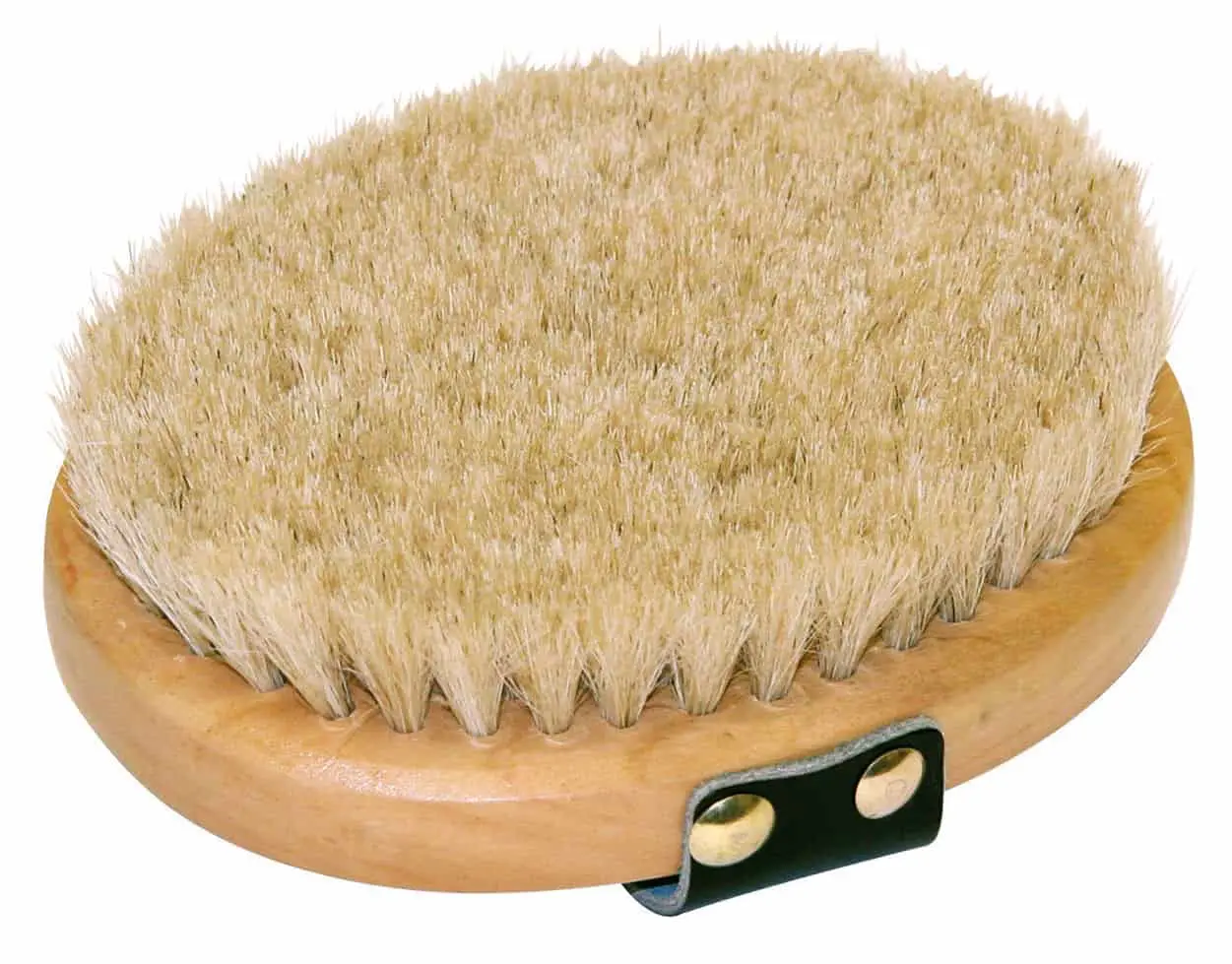 Grooming brush (oval) with wood back, horse hair