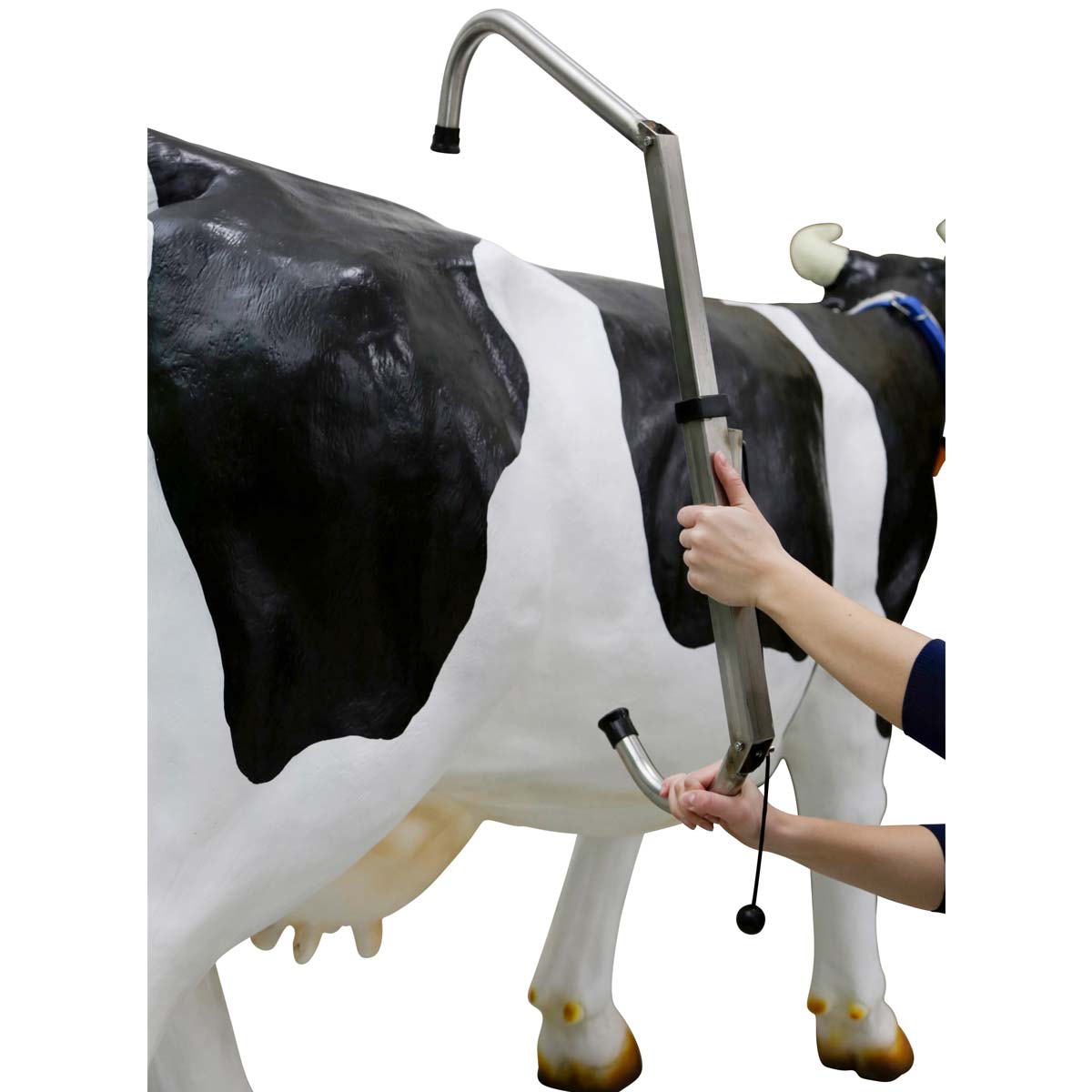 Cow Immobiliser FlexCow