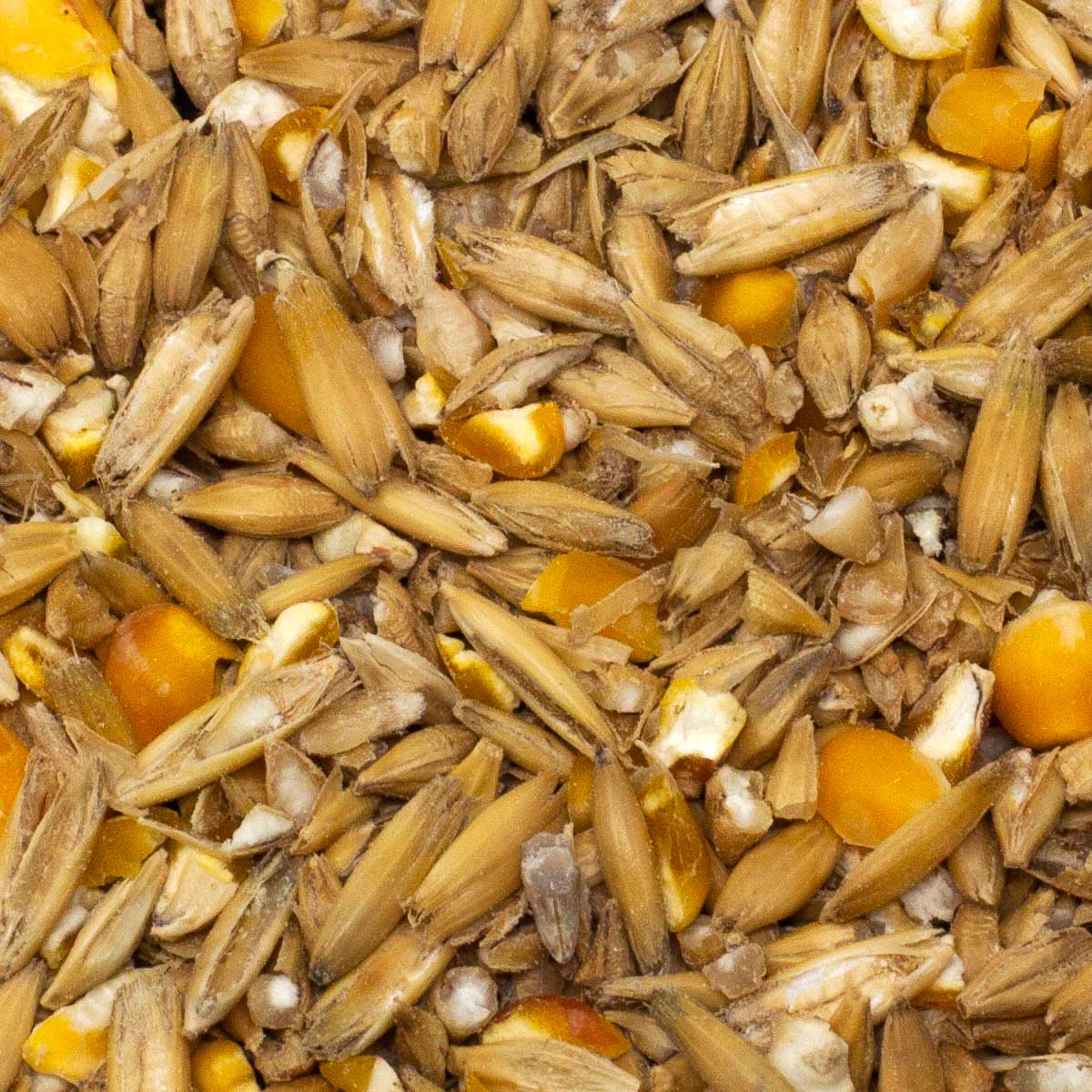 Leimüller cereal mix for horses