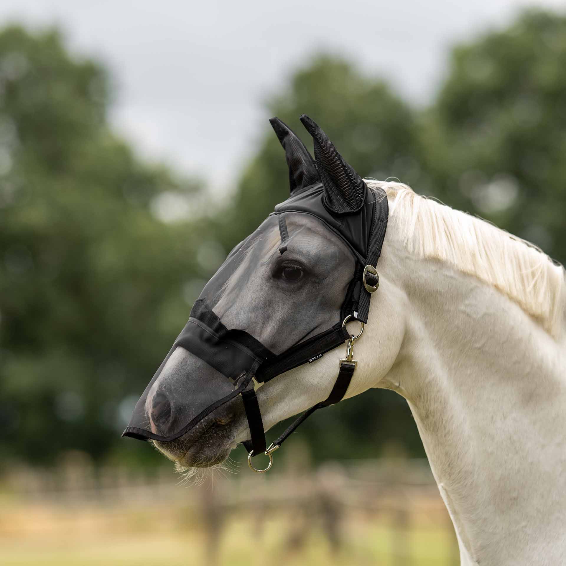 BUSSE Fly Headcollar FAST PLUS Pony black