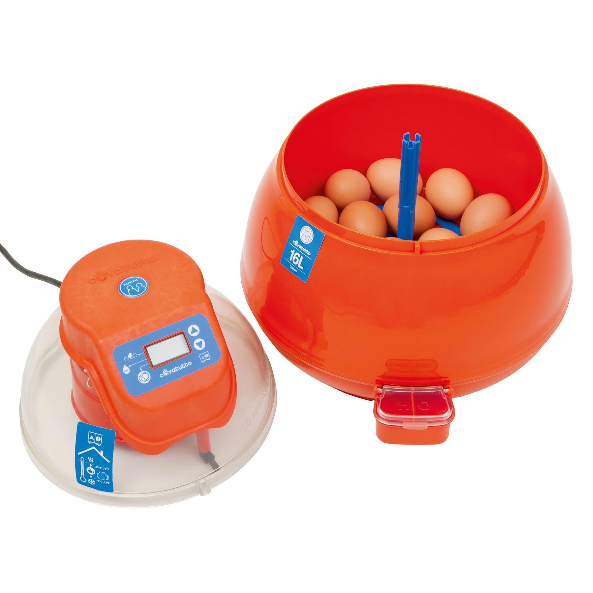 Egg incubator Covatutto 16 L digital Pro