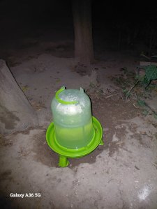 12134.jpg